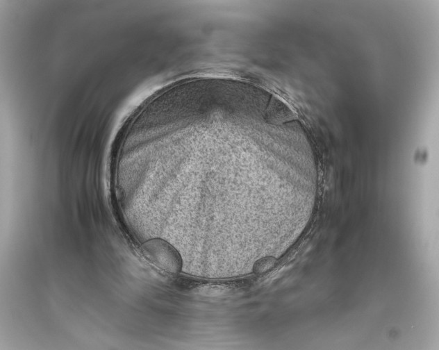 X0000094820294200711301636