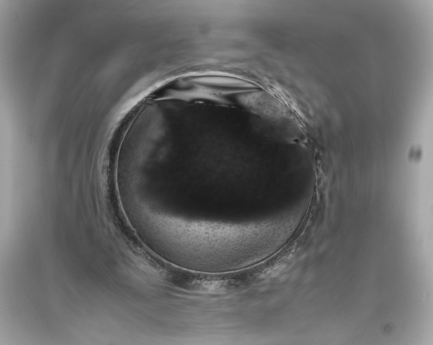 X0000094820295200711301636