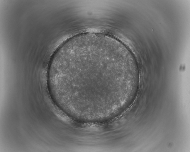 X0000094820297200711301636