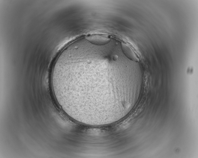 X0000094820298200711301636