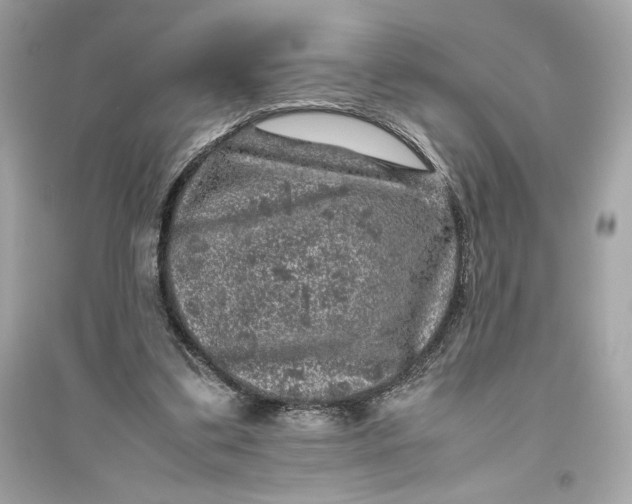 X0000094820299200711301636