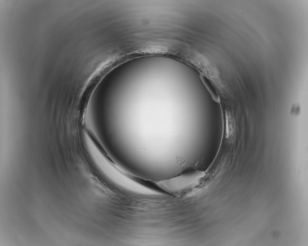 X0000094820300200711301636