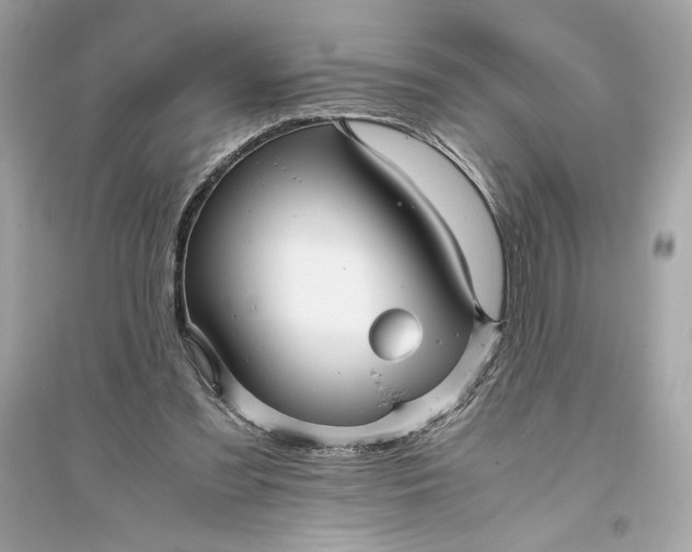 X0000094820301200711301636