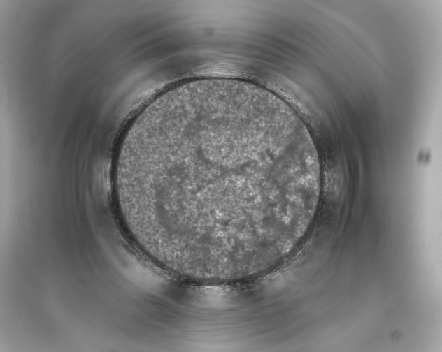 X0000094820302200711301636