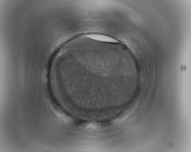 X0000094820303200711301636