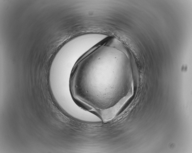 X0000094820305200711301636