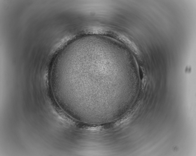 X0000094820306200711301636