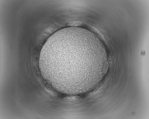 X0000094820307200711301636