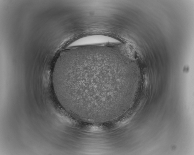 X0000094820308200711301635