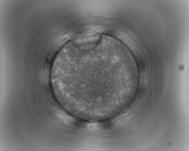 X0000094820309200711301635