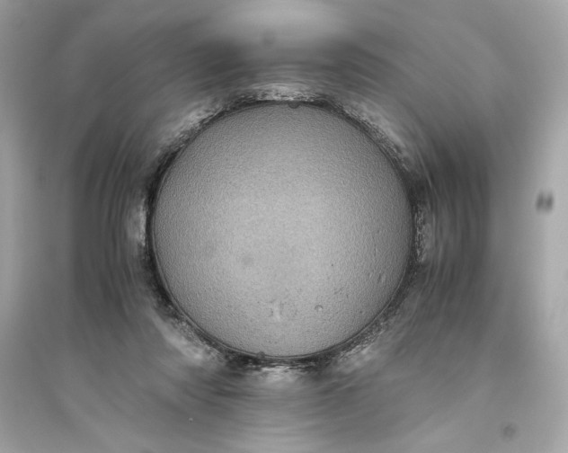 X0000094820310200711301635