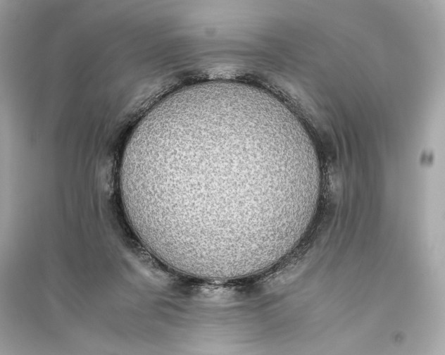 X0000094820311200711301635