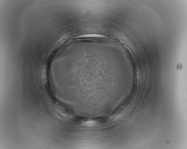 X0000094820312200711301635