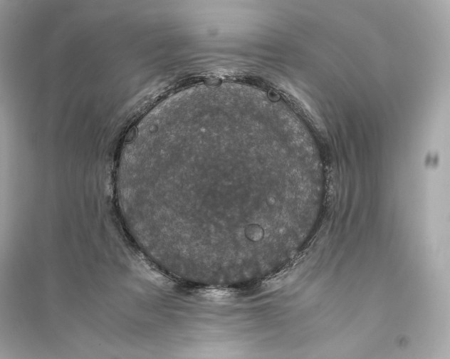 X0000094820313200711301635