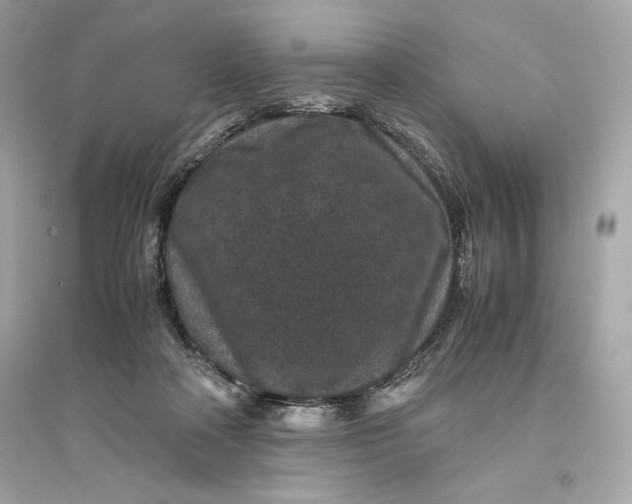 X0000094820314200711301635