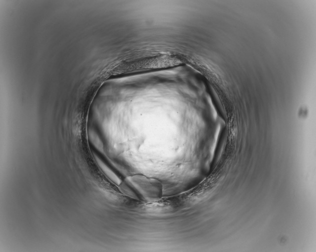 X0000094820315200711301635