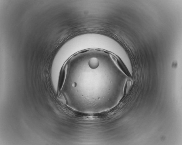 X0000094820316200711301635