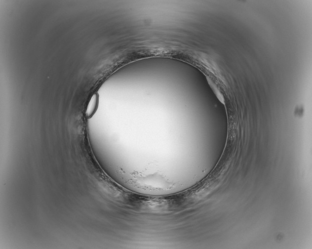 X0000094820317200711301635