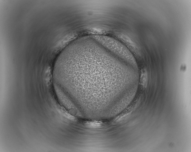 X0000094820318200711301635