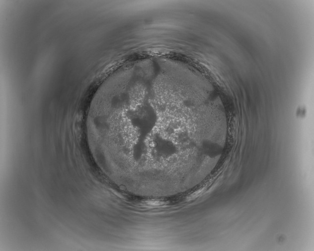 X0000094820319200711301635