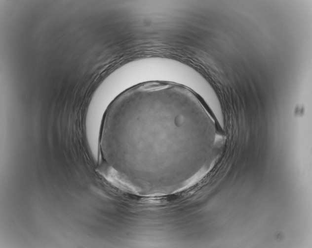 X0000094820320200711301635