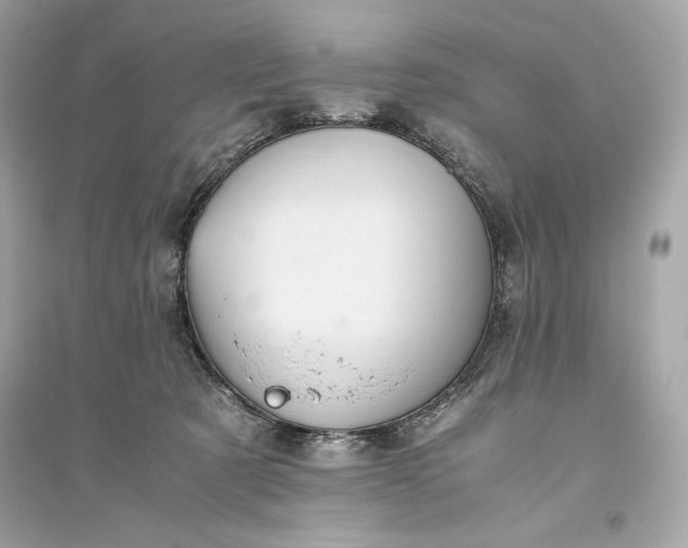 X0000094820321200711301635