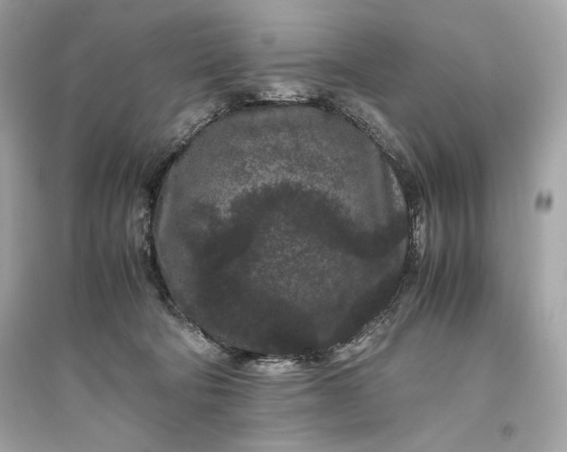 X0000094820322200711301635