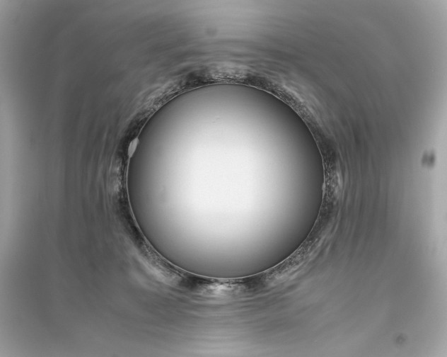 X0000094820323200711301635