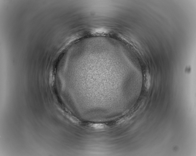 X0000094820324200711301635