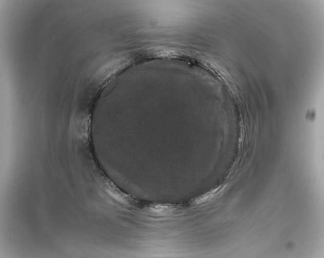 X0000094820325200711301635