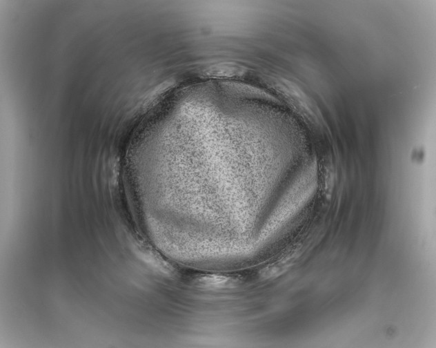 X0000094820326200711301635