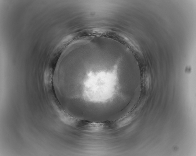 X0000094820328200711301635