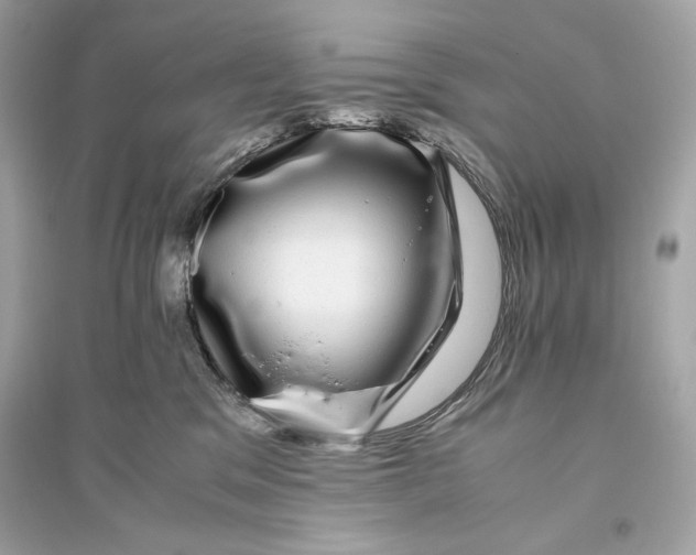 X0000094820329200711301635