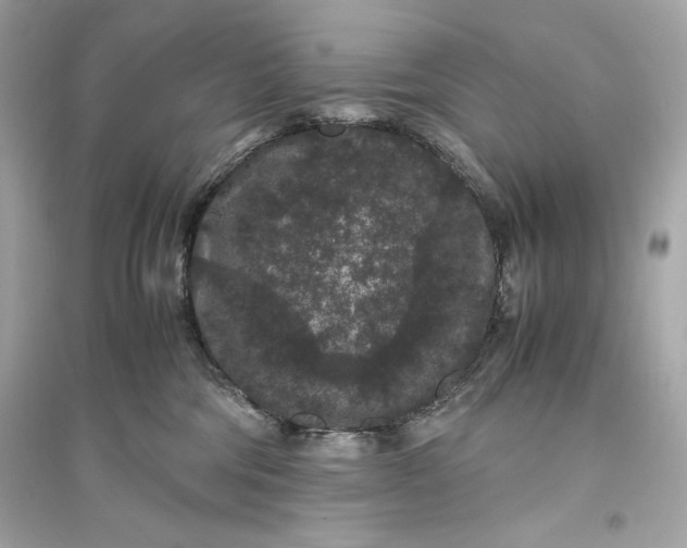 X0000094820330200711301635