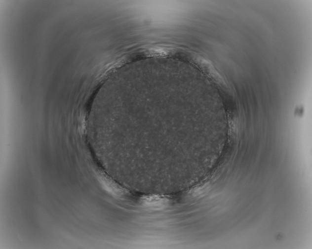 X0000094820331200711301635