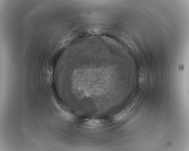 X0000094820332200711301635