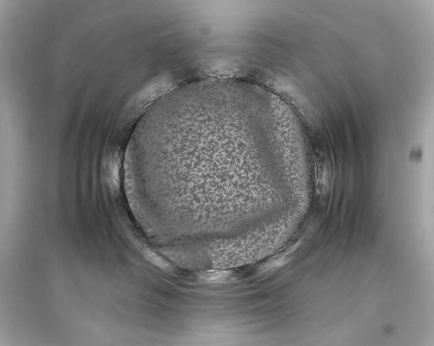 X0000094820334200711301635