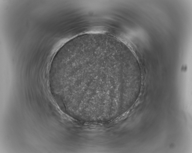 X0000094820337200711301634