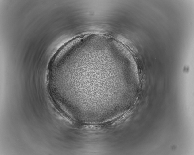 X0000094820338200711301634