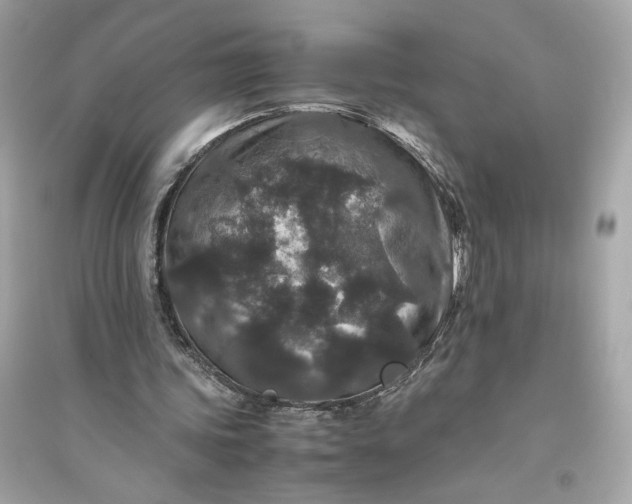 X0000094820339200711301634