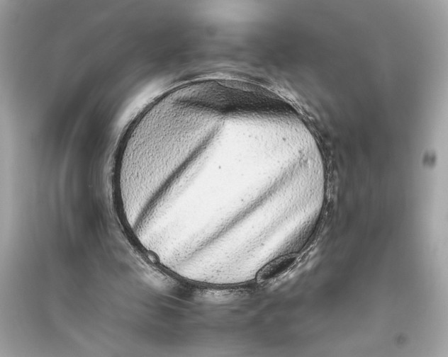 X0000094820341200711301634