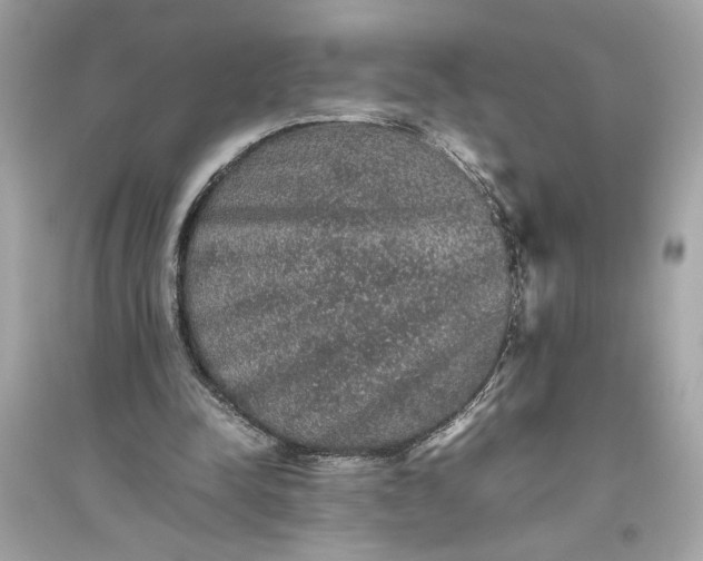 X0000094820342200711301634