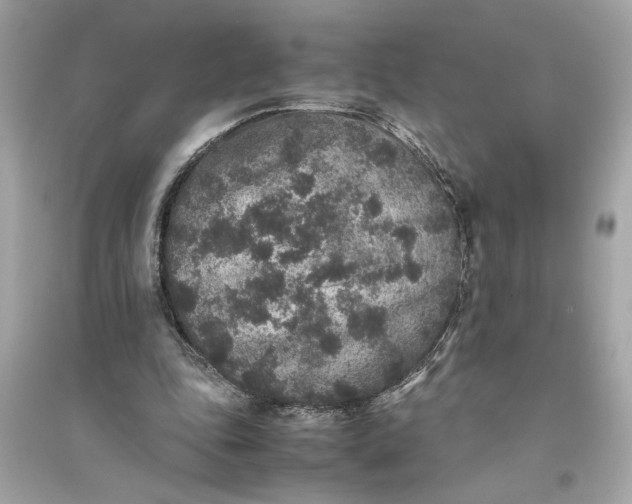 X0000094820343200711301634