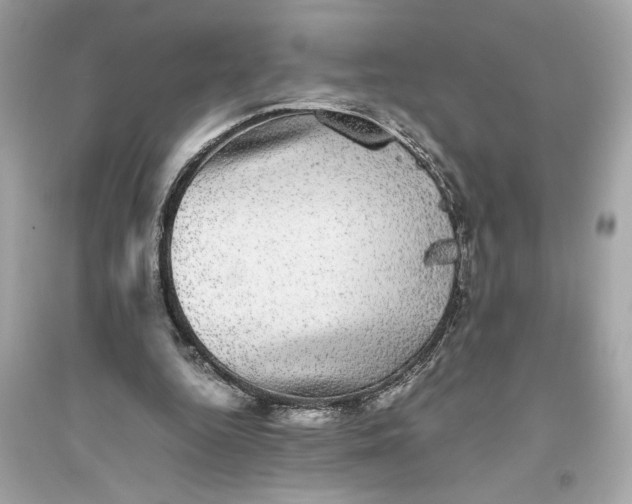 X0000094820344200711301634