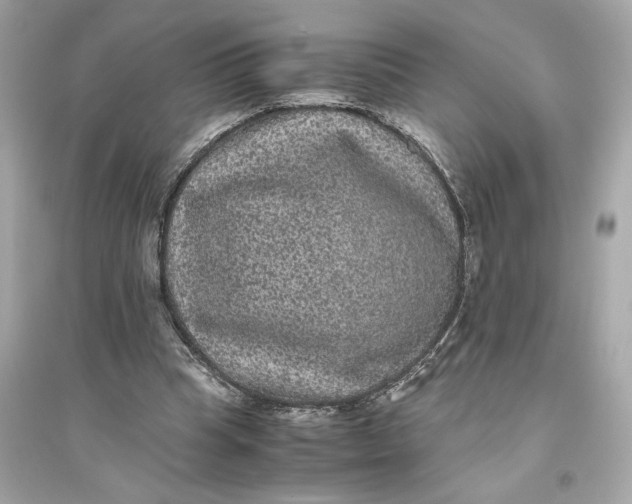 X0000094820345200711301634