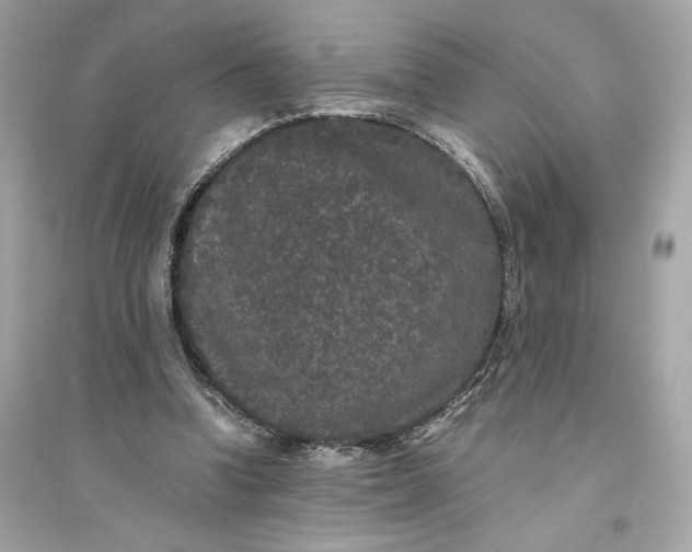 X0000094820346200711301634