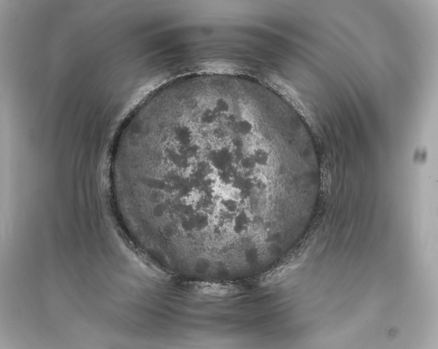 X0000094820347200711301634