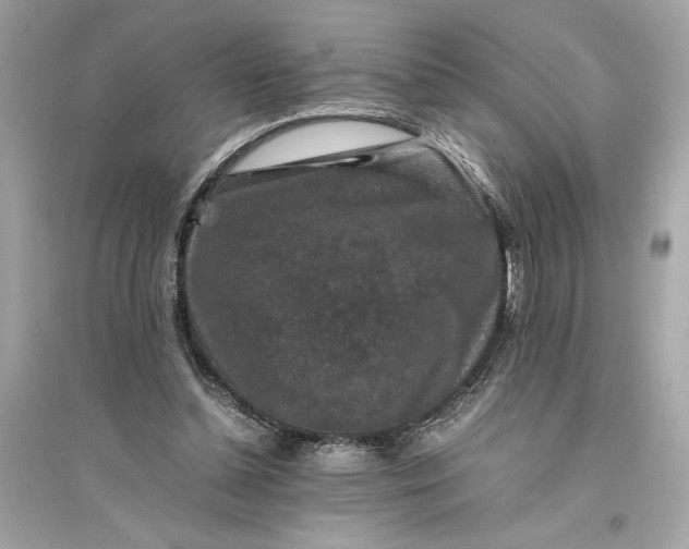 X0000094820348200711301634