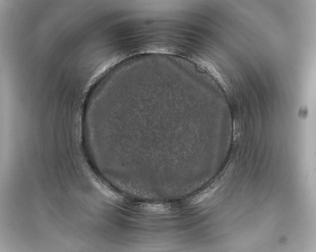 X0000094820349200711301634