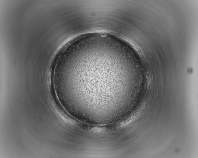 X0000094820350200711301634